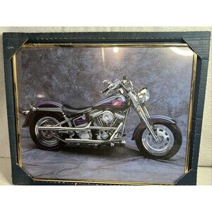 Vintage 1991 Ron Kimball Harley Davidson Framed Motorcylce Picture 20x16 Eagle